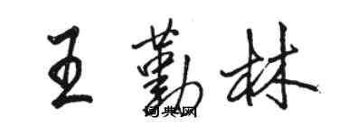 駱恆光王勤林行書個性簽名怎么寫