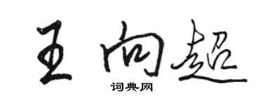 駱恆光王向超行書個性簽名怎么寫