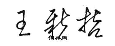 駱恆光王新哲草書個性簽名怎么寫