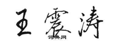 駱恆光王震濤行書個性簽名怎么寫