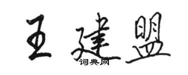 駱恆光王建盟行書個性簽名怎么寫
