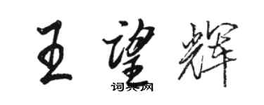 駱恆光王望輝行書個性簽名怎么寫