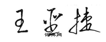 駱恆光王聖捷草書個性簽名怎么寫