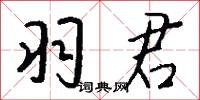 羽扇揮兵的意思_羽扇揮兵的解釋_國語詞典