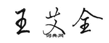 駱恆光王艾全行書個性簽名怎么寫