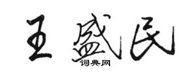 駱恆光王盛民行書個性簽名怎么寫