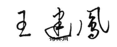 駱恆光王建鳳草書個性簽名怎么寫