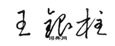 駱恆光王銀柱草書個性簽名怎么寫