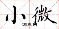 丁謙小微楷書怎么寫