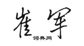 駱恆光崔軍行書個性簽名怎么寫