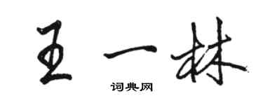 駱恆光王一林行書個性簽名怎么寫