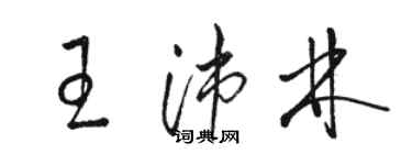 駱恆光王沛林草書個性簽名怎么寫