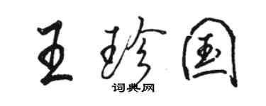 駱恆光王珍國行書個性簽名怎么寫