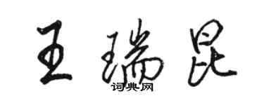 駱恆光王瑞昆行書個性簽名怎么寫