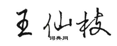 駱恆光王仙枝行書個性簽名怎么寫