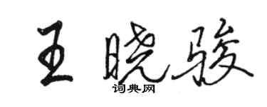 駱恆光王曉駿行書個性簽名怎么寫