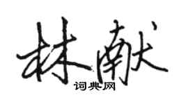 駱恆光林獻行書個性簽名怎么寫