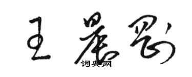 駱恆光王晨剛草書個性簽名怎么寫