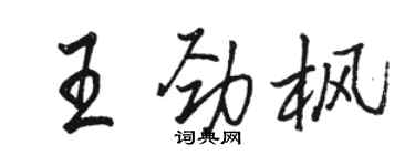 駱恆光王勁楓行書個性簽名怎么寫