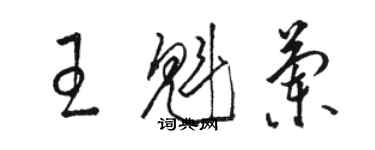 駱恆光王魁蘭草書個性簽名怎么寫