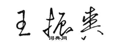 駱恆光王振爽草書個性簽名怎么寫