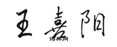 駱恆光王喜陽行書個性簽名怎么寫
