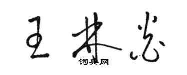 駱恆光王林炎草書個性簽名怎么寫