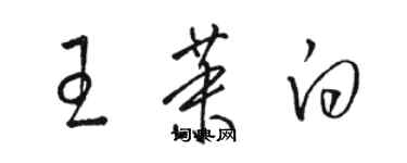 駱恆光王茉白草書個性簽名怎么寫