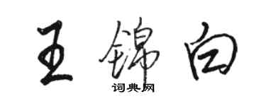 駱恆光王錦白行書個性簽名怎么寫