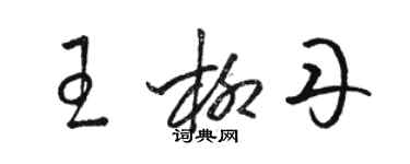 駱恆光王柳丹草書個性簽名怎么寫