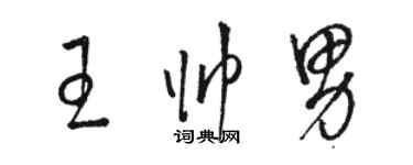 駱恆光王帥男草書個性簽名怎么寫