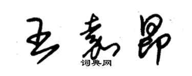 朱錫榮王嘉昂草書個性簽名怎么寫