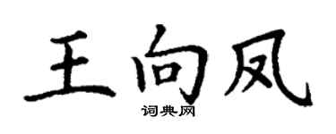 丁謙王向鳳楷書個性簽名怎么寫