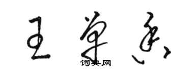 駱恆光王單香草書個性簽名怎么寫