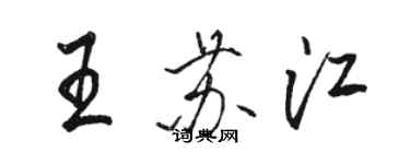 駱恆光王蘇江行書個性簽名怎么寫