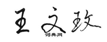 駱恆光王文玫行書個性簽名怎么寫