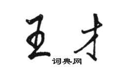 駱恆光王才行書個性簽名怎么寫