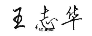 駱恆光王志華行書個性簽名怎么寫