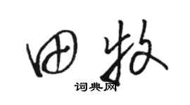 駱恆光田牧草書個性簽名怎么寫