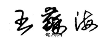 朱錫榮王蘇海草書個性簽名怎么寫