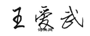 駱恆光王愛武行書個性簽名怎么寫