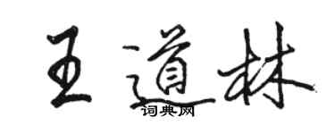 駱恆光王道林行書個性簽名怎么寫