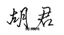 駱恆光胡君行書個性簽名怎么寫