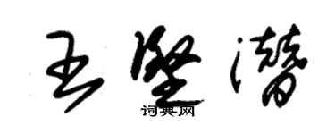 朱錫榮王堅潛草書個性簽名怎么寫