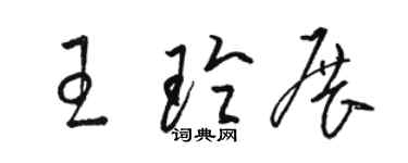 駱恆光王玲展草書個性簽名怎么寫