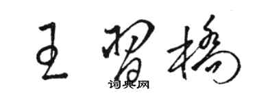 駱恆光王習橋草書個性簽名怎么寫