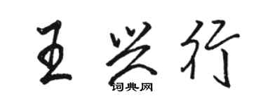 駱恆光王興行行書個性簽名怎么寫