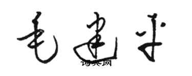 駱恆光毛建平草書個性簽名怎么寫