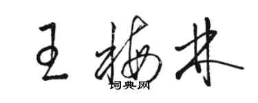 駱恆光王梅林草書個性簽名怎么寫