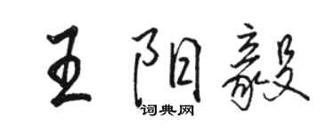 駱恆光王陽毅行書個性簽名怎么寫